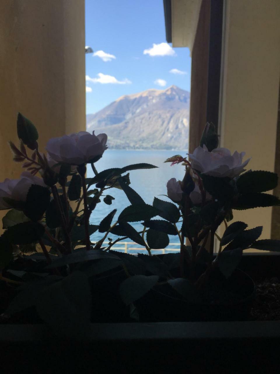 Apartament Cozy Garden Retrait Varenna Zewnętrze zdjęcie
